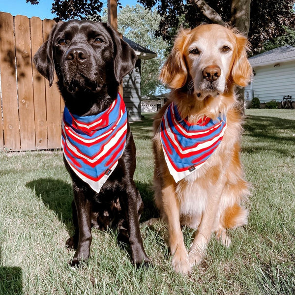 G.O.A.T Pet Bandana - G.O.A.T Collection by Leveled Up Buffalo