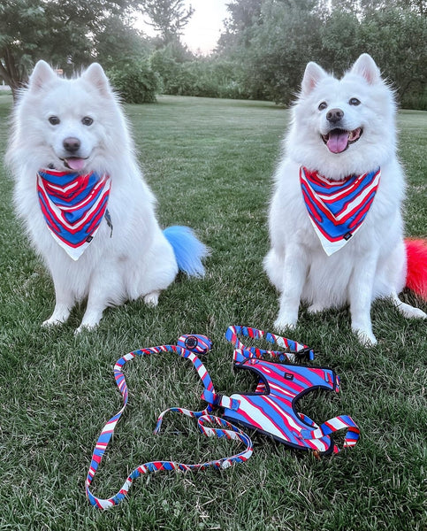 G.O.A.T Pet Harness - G.O.A.T Collection by Leveled Up Buffalo