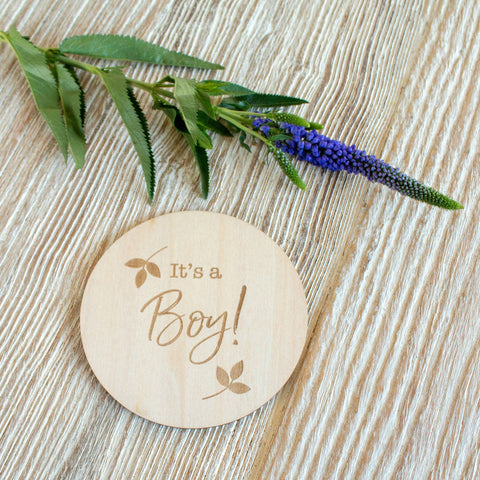 It’s a Boy Milestone Disc